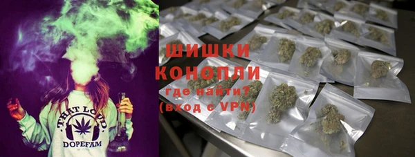 сатива Балабаново